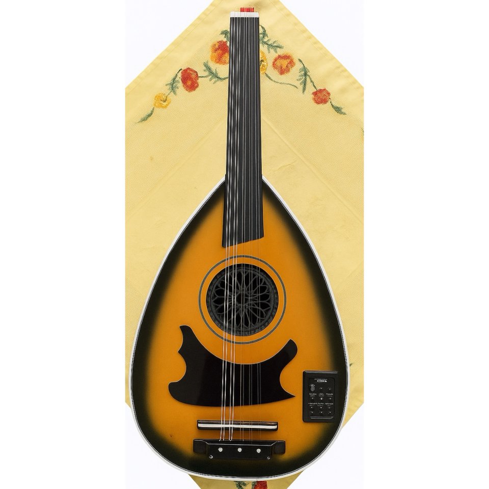 Electric oud with equalizer