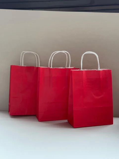 Plain Wide-Base Delivery Paper Bags with Twisted Handles – 32x34 cm | Facotry Wholesale 4